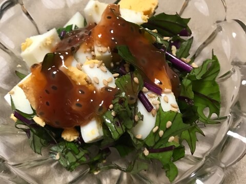 赤水菜と茹で卵のバジルシードサラダ